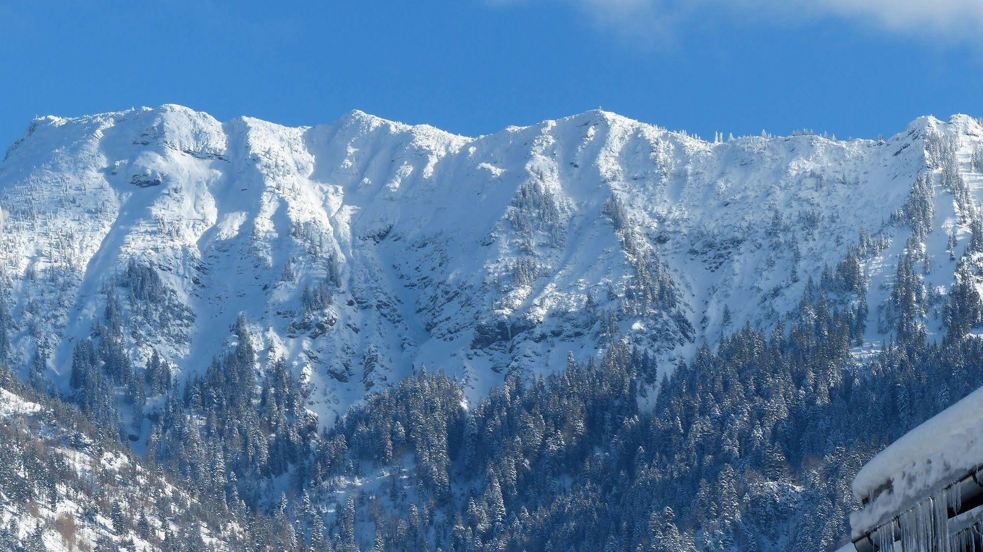 Hotel Restaurant Amadeus - Inclusive Skipass Und Vieles Mehr Bad Hindelang Exterior foto